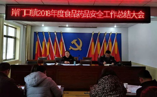 守護舌尖安全，岸門口鎮(zhèn)召開2021年度食品藥品安全監(jiān)管工作總結大會